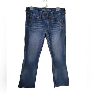 American Eagle Artist Crop Jeans